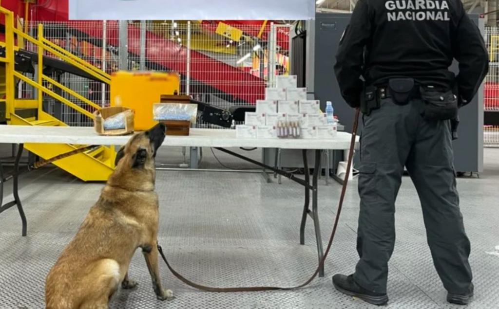 Guardia Nacional y Ejército mexicano encuentran más de 2 mil pastillas de fentanilo en una máquina tortillera y en un tortillero