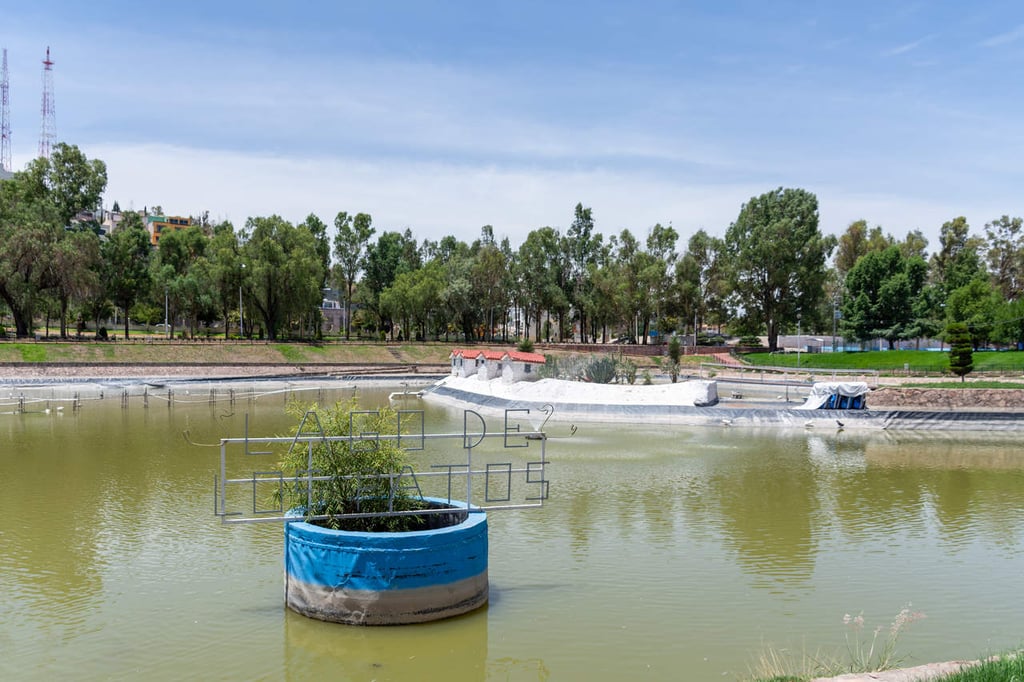 Darán patos en adopción por sobrepoblación en lagos de parques Guadiana y Sahuatoba