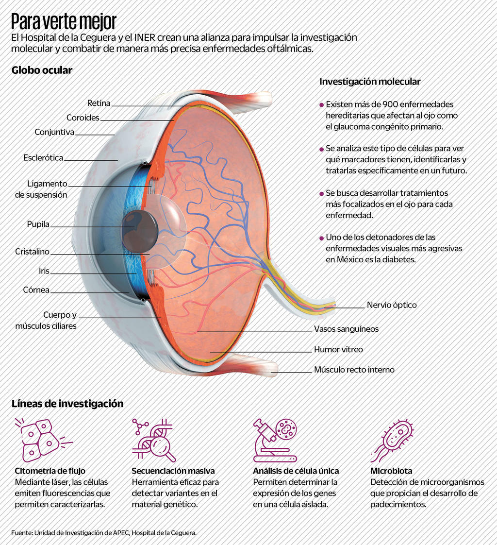 México, entre los 20 países con más discapacidad visual