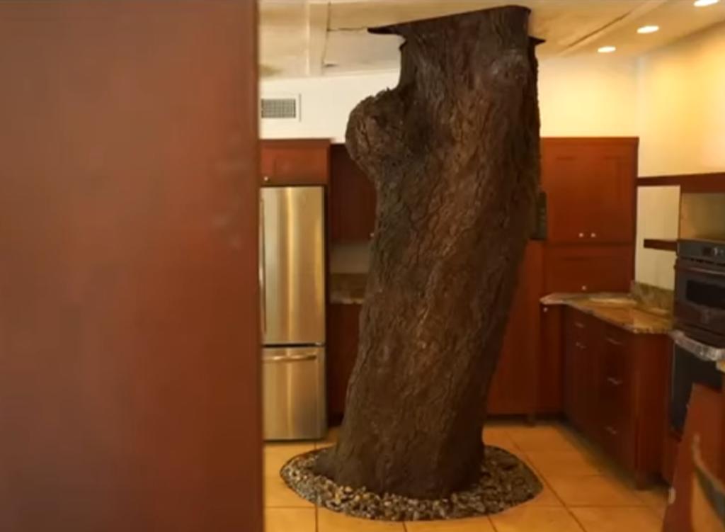 Casa en venta en Florida tiene un árbol en medio de la construcción