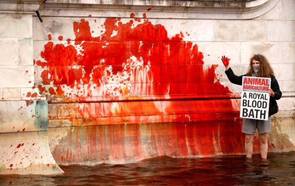 Animalistas tiñe de rojo la fuente del palacio de Buckingham en Londres
