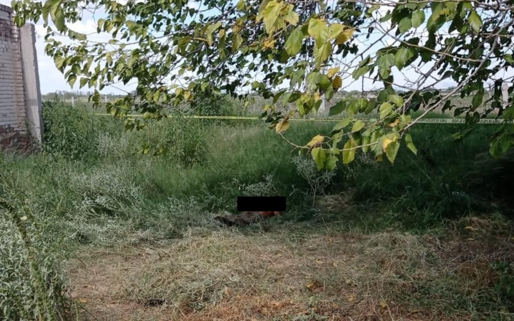 Localizan cadáver de un hombre en rancho de Gómez Palacio