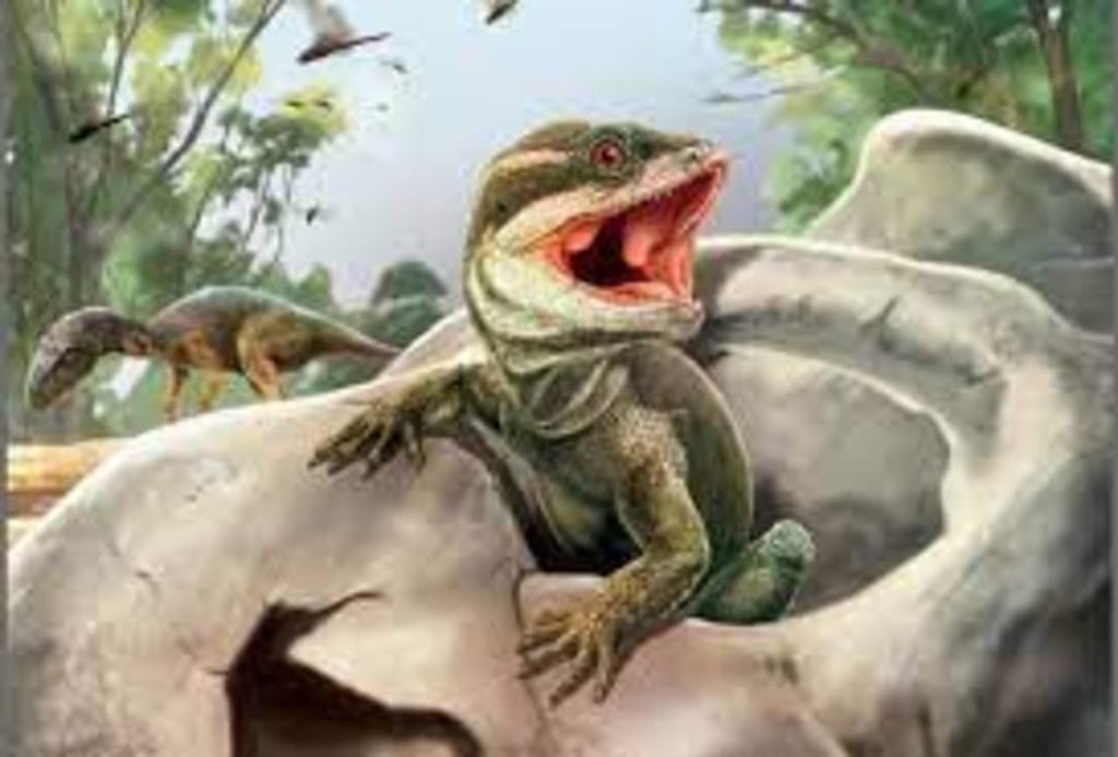 Taytalura, la nueva especie que ahonda en el origen de los reptiles modernos