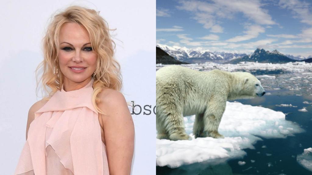 Pamela Anderson se une a la lucha para proteger las aguas de Antártida
