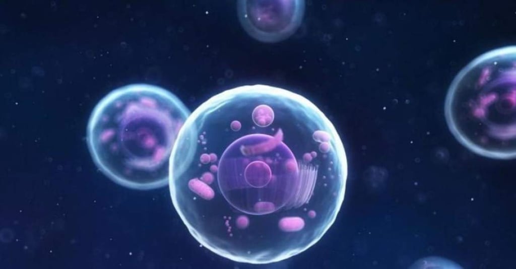 El 'contexto celular', un aspecto clave para la formación del cáncer