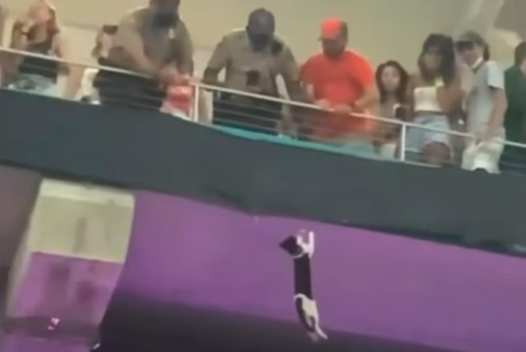 Extienden bandera para salvar a gato que cayó del techo de un estadio
