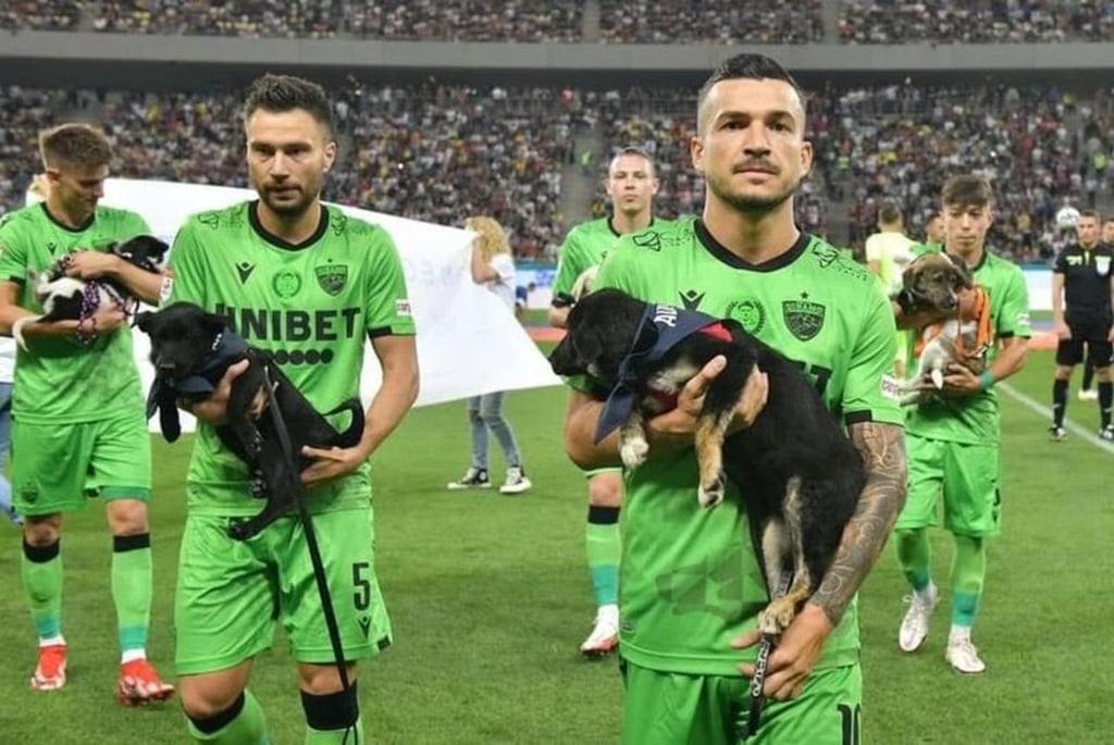 Jugadores rumanos saldrán a la cancha con perritos para promover la adopción