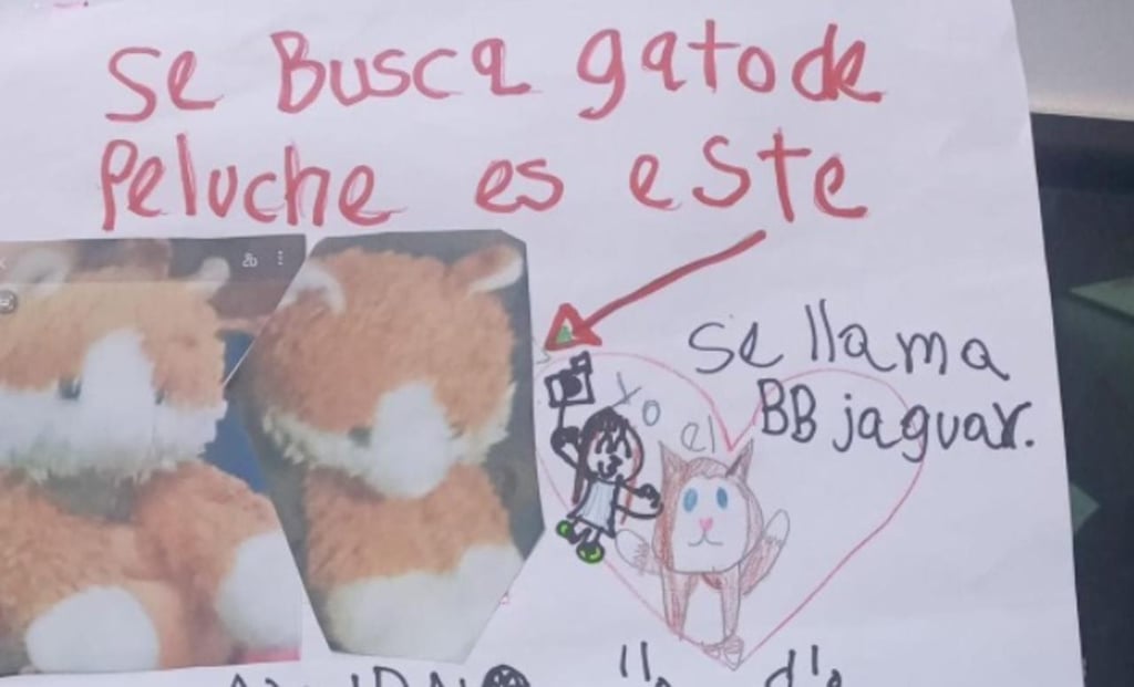 VIRAL: Niña pide ayuda para encontrara a su gato de peluche extraviado en cine de la CDMX