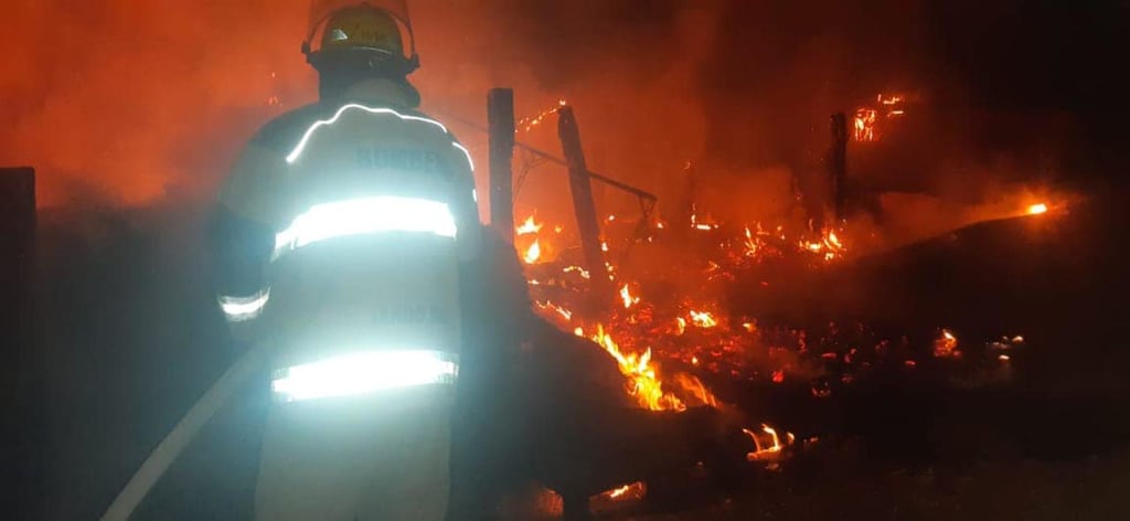 ¡Héroes! Bomberos de Lerdo salvan cerditos de incendio