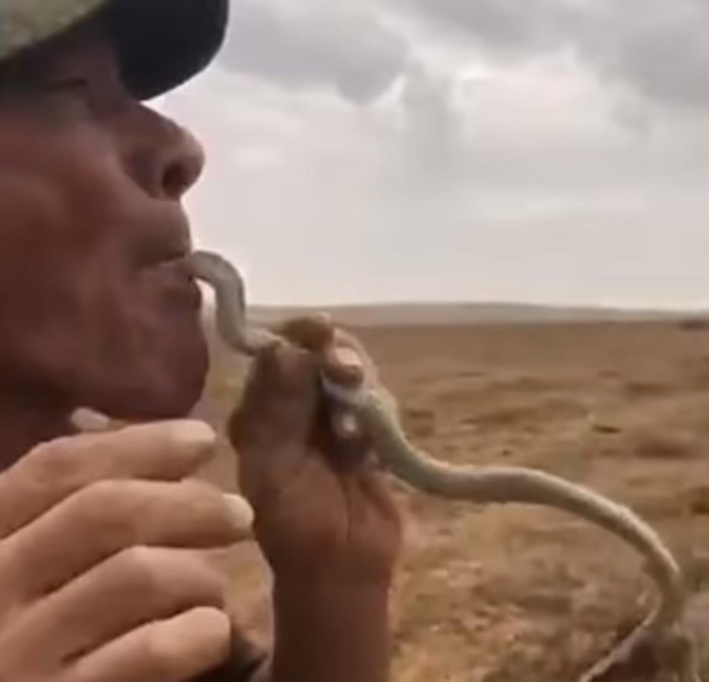 Hombre pierde la vida tras ser mordido por una serpiente que se metió a la boca