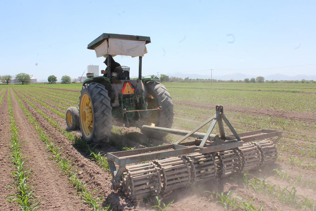Actividades primarias retrocedieron 1.1 por ciento anual en julio: INEGI