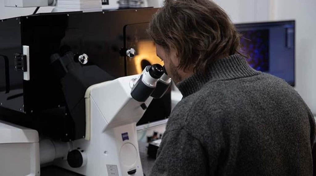 De la playa al microscopio; científicos uruguayos van tras el cáncer de piel