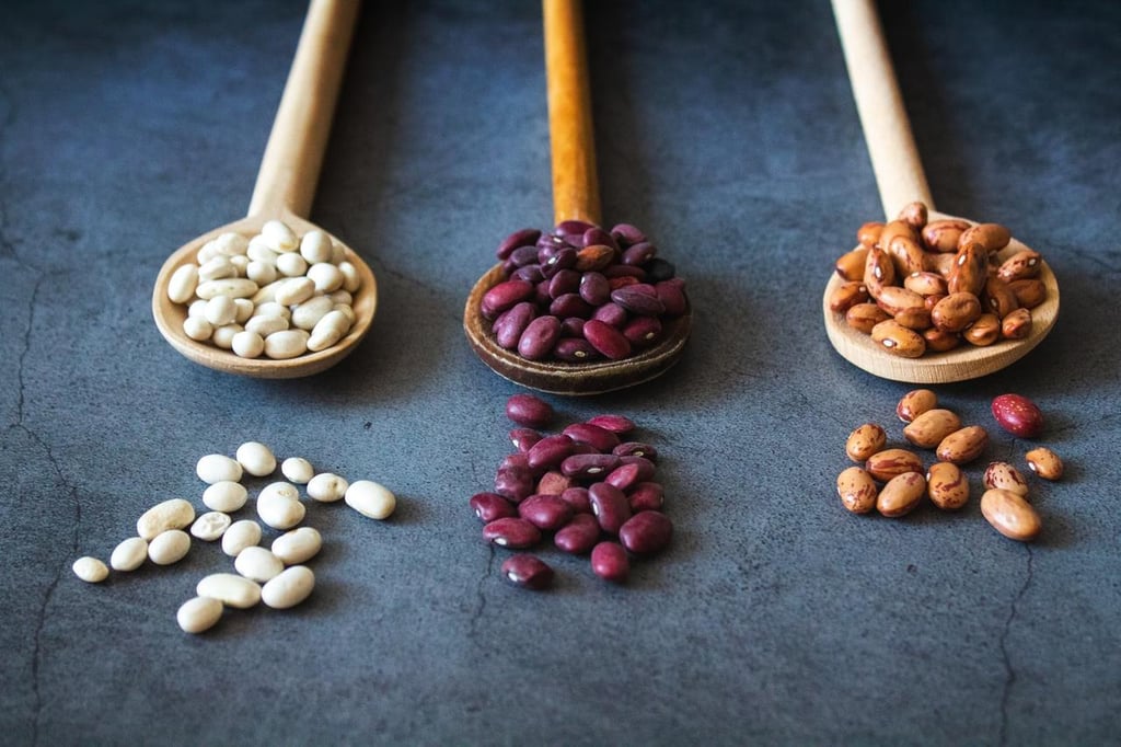 ¿Los frijoles son fuente de proteínas o carbohidratos?
