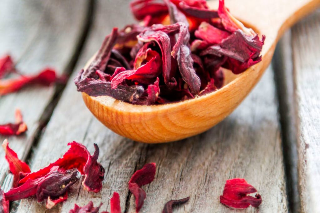 Cuidados de la flor de jamaica