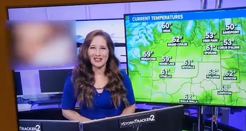 Noticiero transmite por 'error' video para adultos durante reporte climatológico