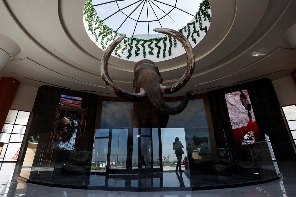 Expondrán en AIFA vestigios de mamuts