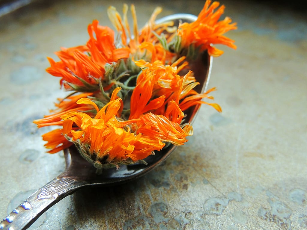 Flor de cempasúchil en la salud