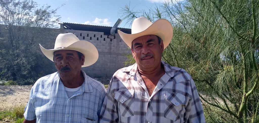 Cempasúchil: flor de 20 pétalos que guía a las almas a su destino