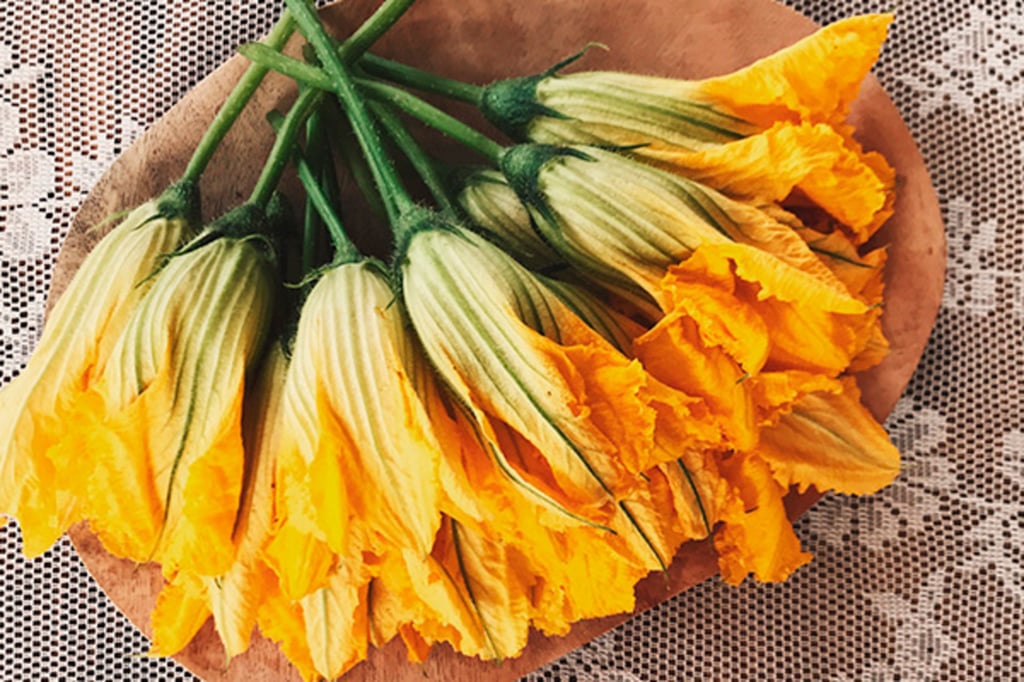 Flor de calabaza en la historia