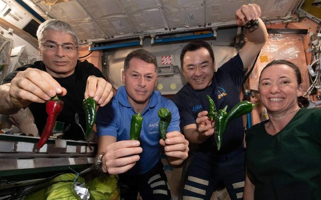 La NASA cultiva chiles en la Estación Espacial Internacional