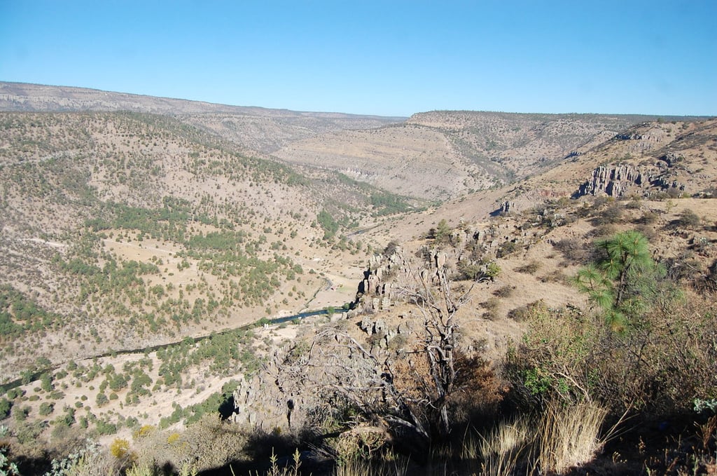 Acusan uso electoral de recursos