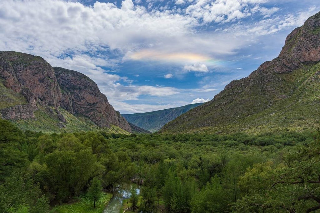 Presentan el libro Libro ‘El Cañón de Fernández’
