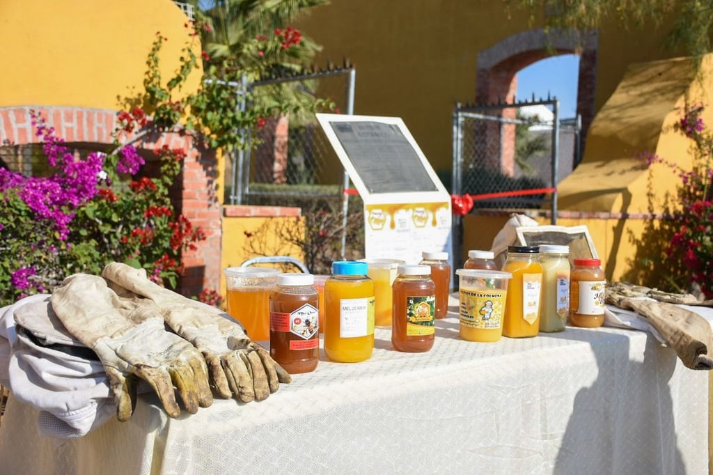 Feria de la Miel en el parque La Esperanza