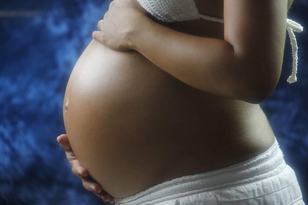 Estudio afirma que varios contaminantes influyen en si un bebé nacerá niño o niña