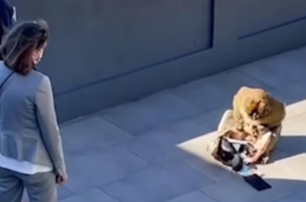 Mono salta hacia una mujer y le roba su bolsa en el Peñón de Gibraltar