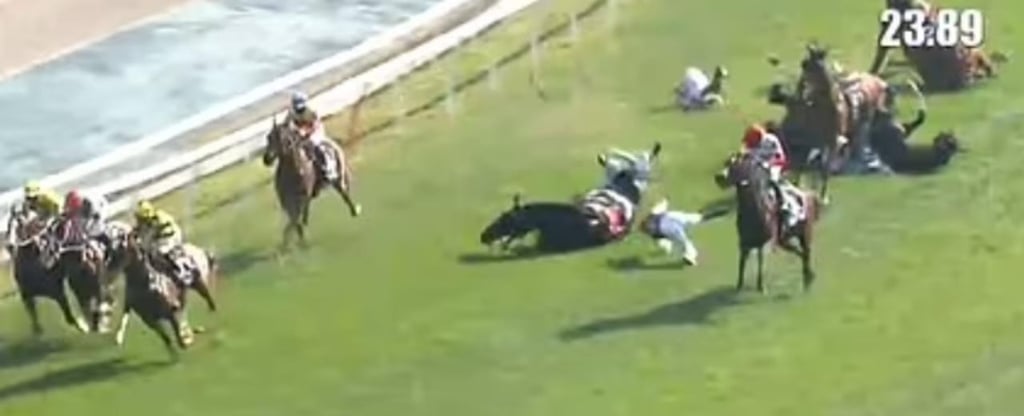 Dos caballos mueren y 3 jinetes son hospitalizados tras accidente en plena carrera