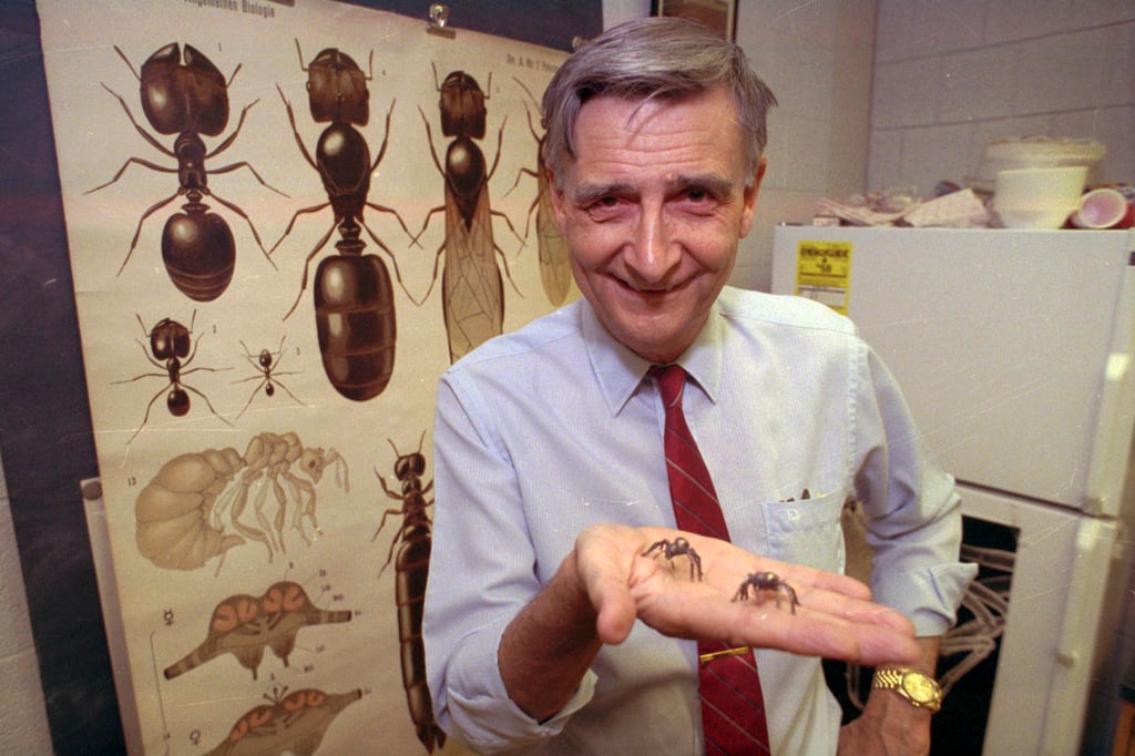 Muere a los 92 años el entomólogo Edward O. Wilson