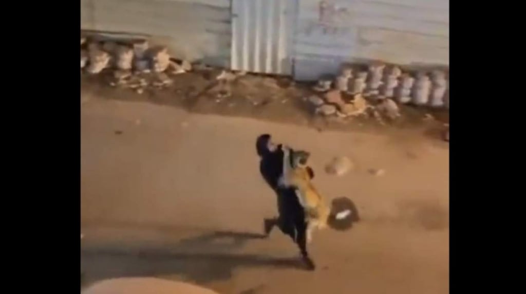 Mujer es grabada cargando un león en plena calle y se vuelve viral