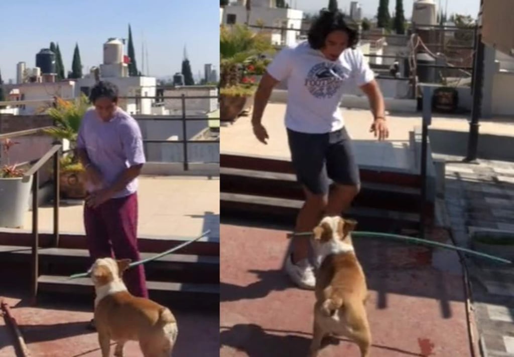 VIRAL: Perro 'castiga' a su dueño dándole 'palazos'