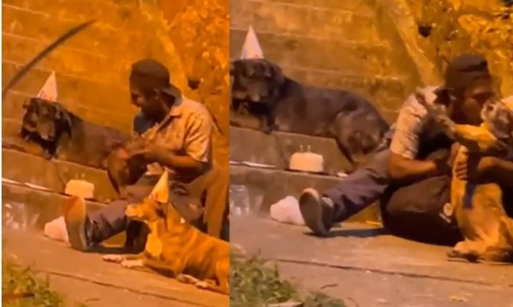 Hombre en situación de calle celebra cumpleaños con sus perritos y les comparte pastel