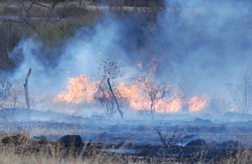 Habrá dos brigadas contra incendios forestales en el municipio de Durango