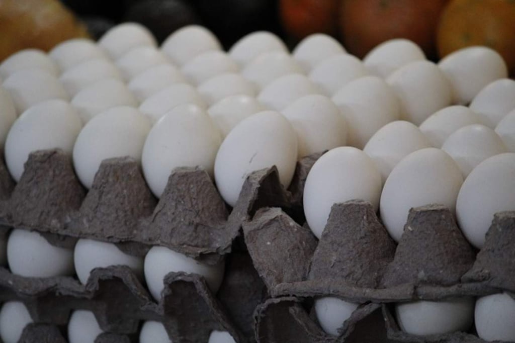 En Durango, producción de huevo creció 16%