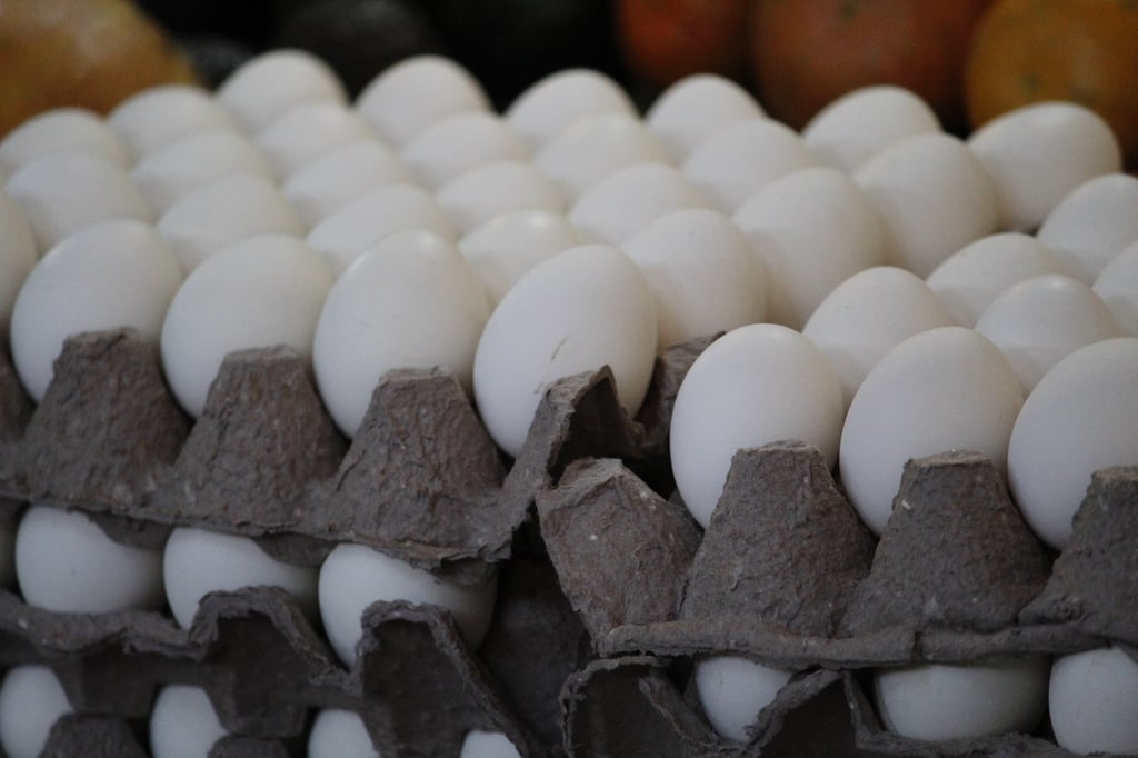 Producción de huevo creció 16% en Durango