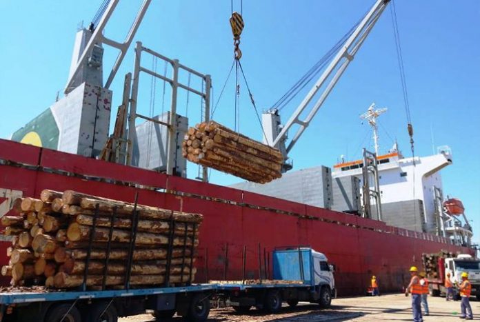Unión Europea pide consulta con Rusia sobre restricciones en exportación de madera