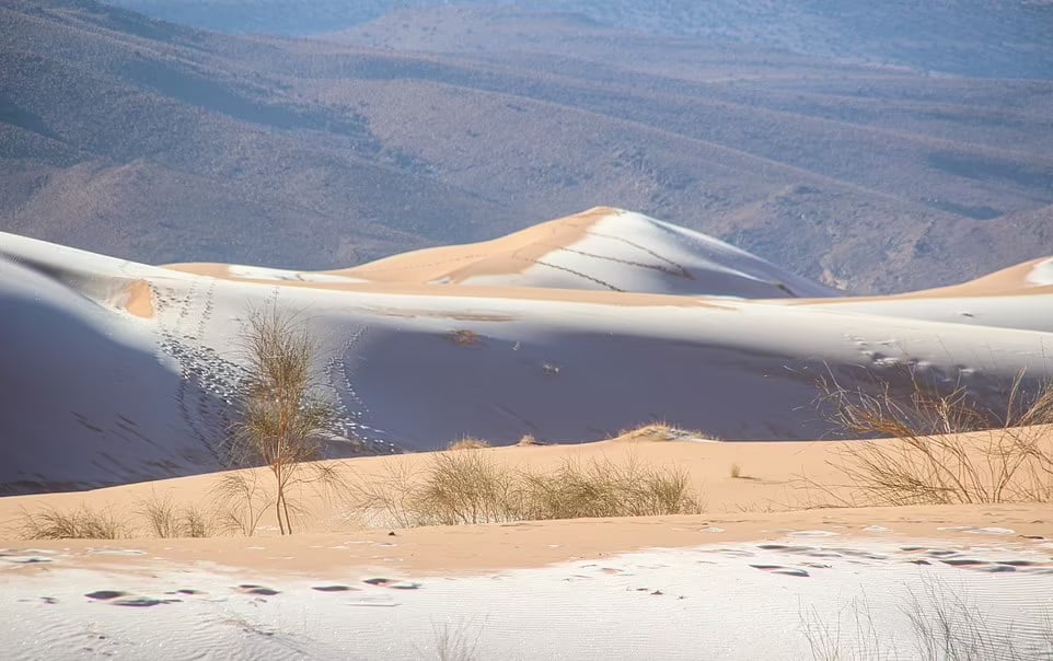 El desierto del Sahara se tiñe de blanco con nevada