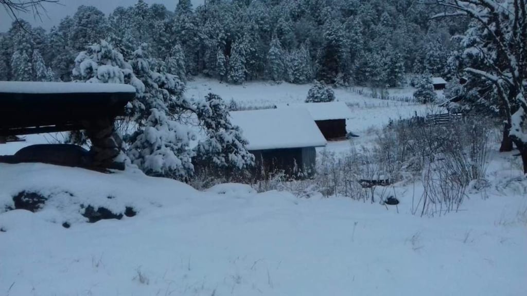 VIDEO: Durango amanece blanco; cae nieve en cuatro municipios