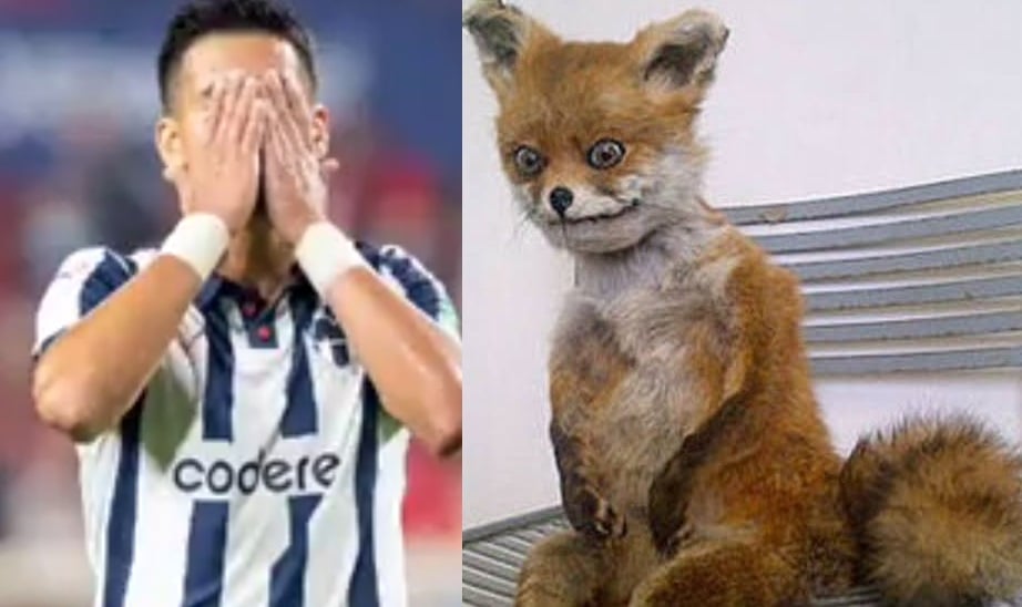 Tunden con memes al Monterrey tras su derrota ante el Al-Ahly