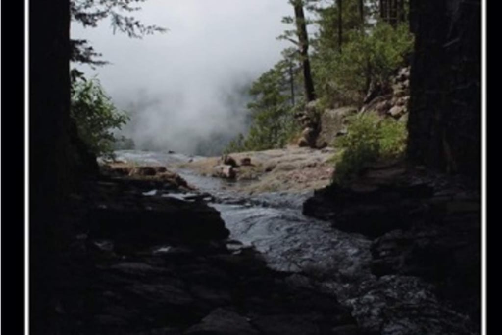 Muestra fotográfica de Walter Bishop seguirá hasta marzo