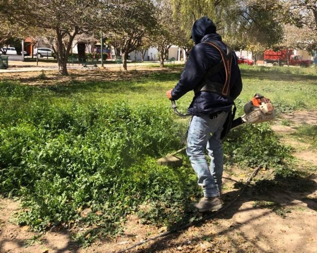 Trabajan para cuidar áreas verdes