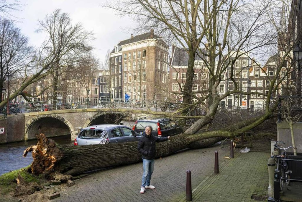 Tormenta causa fuertes lluvias y vientos