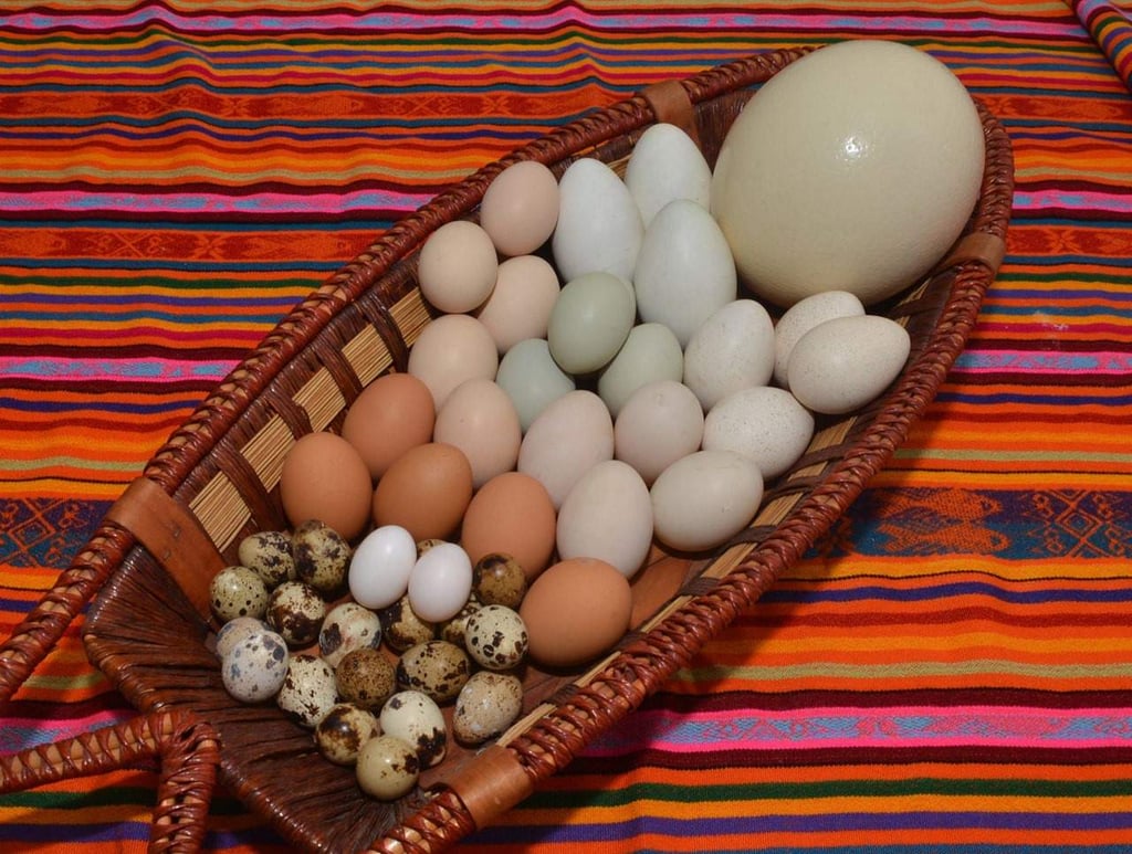 Huevos que no son de gallina