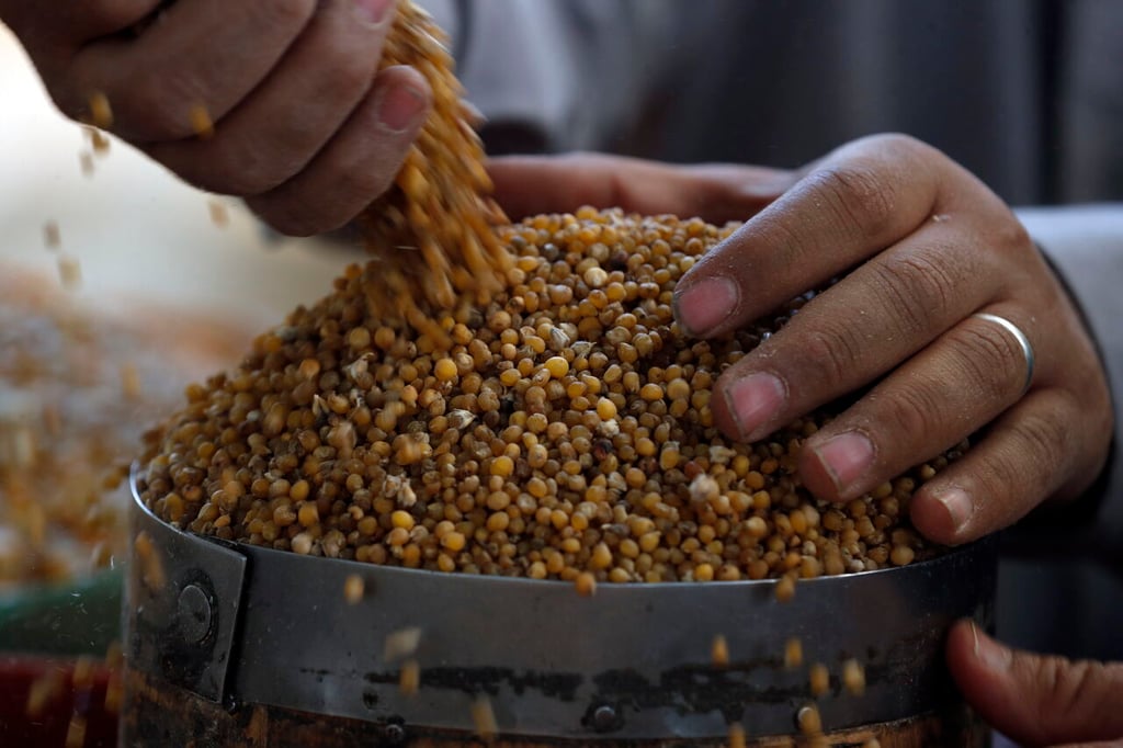 Invasión de Ucrania afecta el suministro de cereales en el mundo