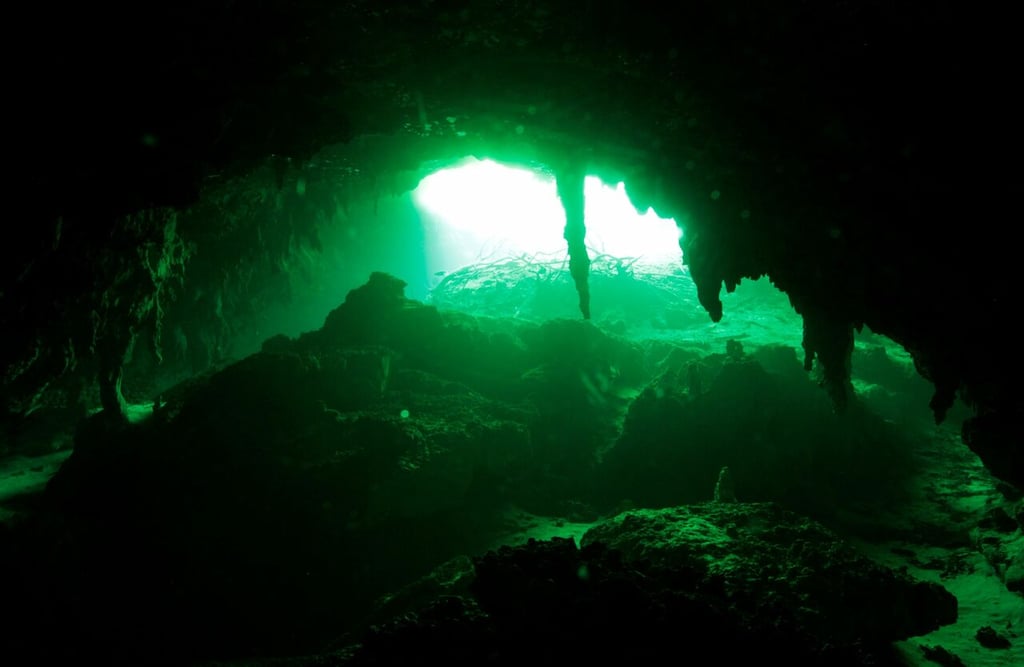 ¿Dónde encontrar en México los cenotes, pozos de agua nutridos por lluvias y ríos?