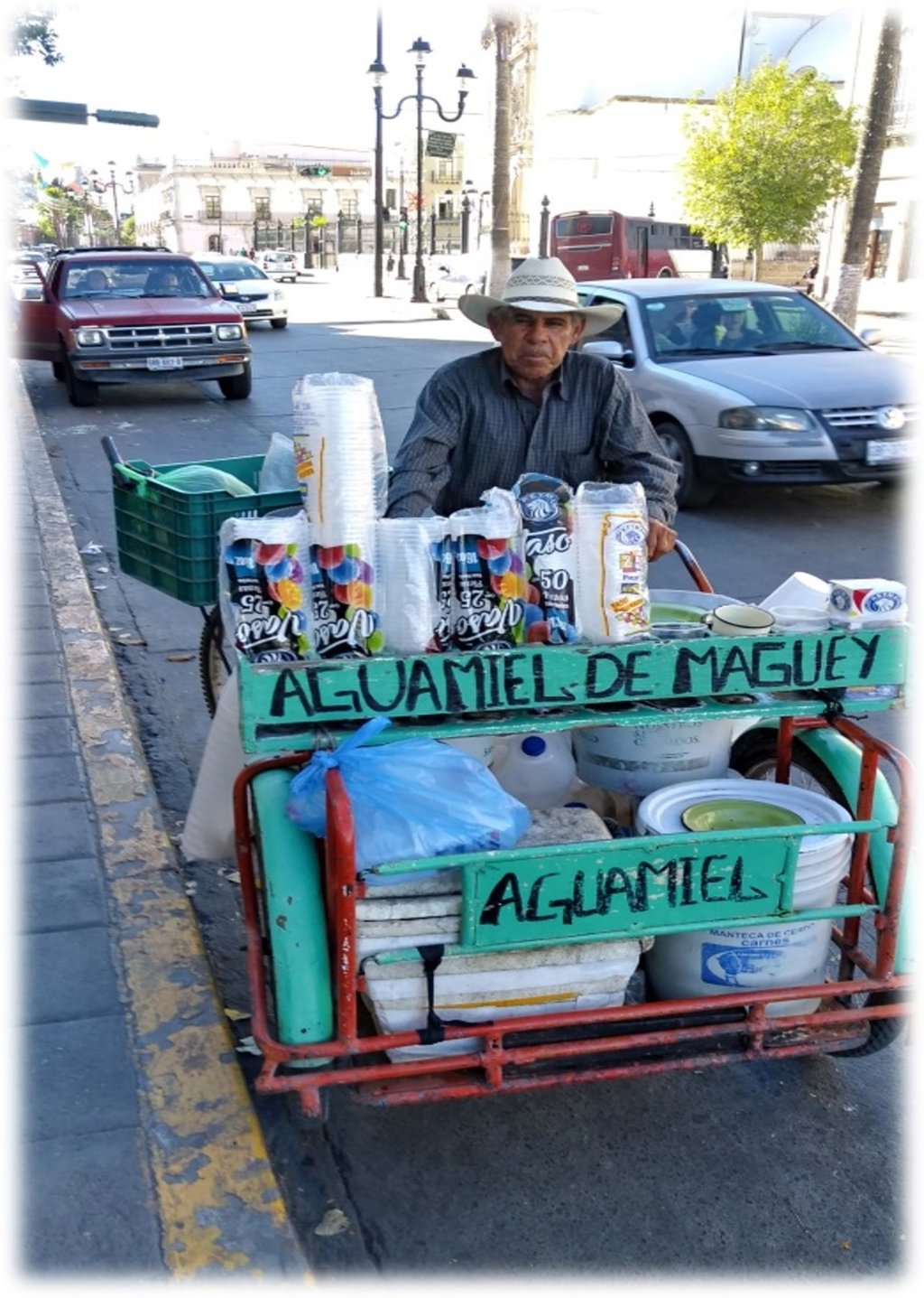 Los aguamieleros de Durango