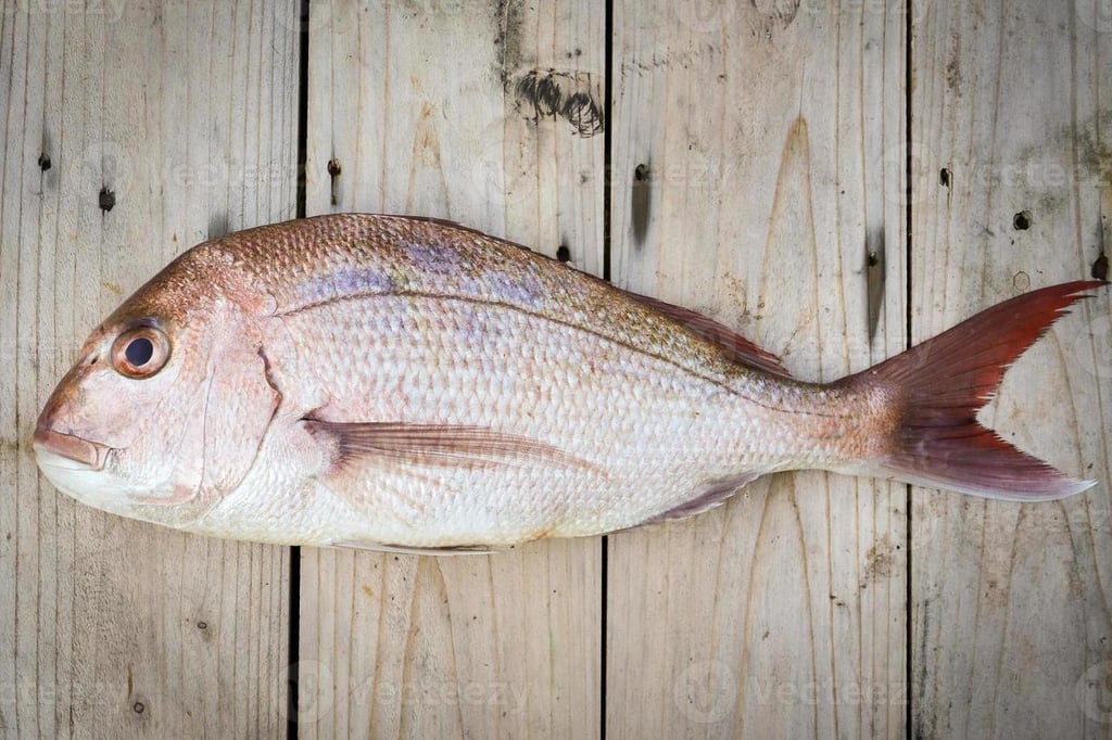 Pescado crudo ¿Es peligroso comerlo crudo?