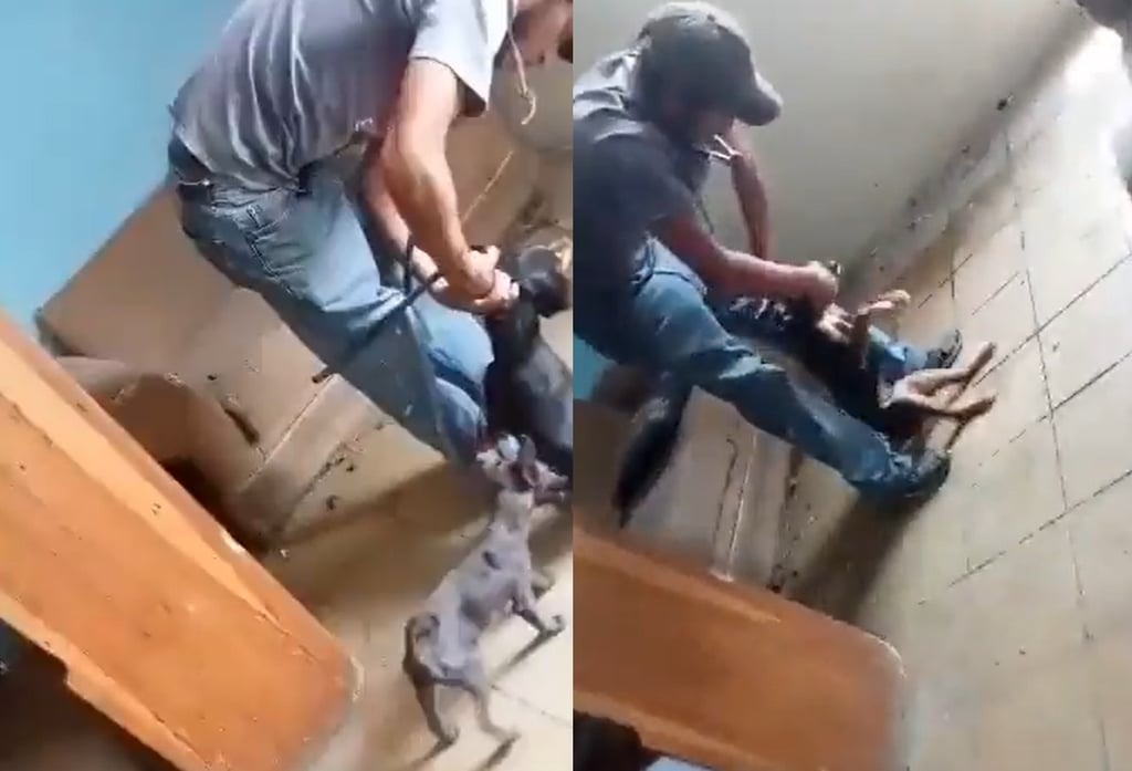 VIDEO: Exhiben a sujeto asfixiando a un perro en Puebla